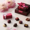 ヴィタメール バレンタイン2020の限定・新作チョコレートコレクションと通販予約先。口コミは？